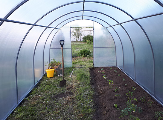 Комплектующие для теплиц — Поликарбонат тепличный 4мм
Цена 3 450 Р — фото