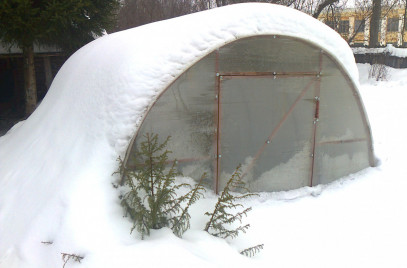Новости — Для владельцев теплиц — фото