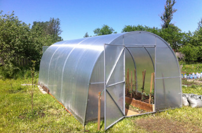 Новости — Не дайте себя обмануть!!! — фото