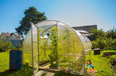 Блог — Как выбрать теплицу из поликарбоната — фото