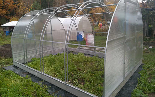 Теплицы — Теплицы усиленные — фото