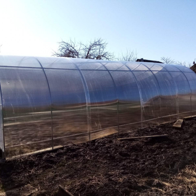 Теплицы - фото наших работ — теплица 8*3м безфундаментная — фото